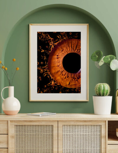 Photo oeil iris - eyes box - décoration